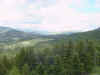 Mon-yelst-gt-20010615-1930.jpg (55118 bytes)