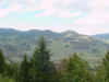 Mon-yelst-gt-20010615-1932a.jpg (53628 bytes)