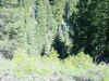 Mon-yelst-gt-20010616-1116.jpg (137045 bytes)