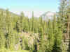 Mon-yelst-gt-20010616-1119.jpg (115183 bytes)