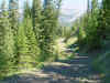 Mon-yelst-gt-20010616-1216.jpg (119858 bytes)