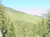 Mon-yelst-gt-20010616-1225a.jpg (89733 bytes)