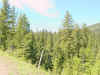 Mon-yelst-gt-20010616-1226a.jpg (109067 bytes)
