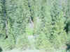 Mon-yelst-gt-20010616-1226b.jpg (139537 bytes)