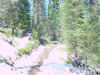 Mon-yelst-gt-20010616-1507.jpg (111229 bytes)