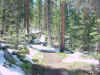 Mon-yelst-gt-20010616-1512.jpg (117114 bytes)