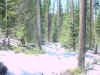 Mon-yelst-gt-20010616-1517a.jpg (112991 bytes)