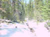 Mon-yelst-gt-20010616-1521.jpg (95126 bytes)