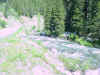 Mon-yelst-gt-20010616-1711b.jpg (118501 bytes)