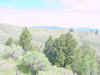 Mon-yelst-gt-20010617-1129c.jpg (73891 bytes)