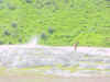 Mon-yelst-gt-20010617-1134.jpg (76485 bytes)