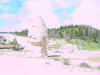 Mon-yelst-gt-20010617-1135a.jpg (55242 bytes)