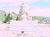 Mon-yelst-gt-20010617-1137.jpg (50781 bytes)