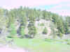 Mon-yelst-gt-20010617-1140.jpg (85788 bytes)