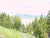 Mon-yelst-gt-20010617-1203c.jpg (76704 bytes)