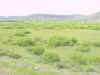 Mon-yelst-gt-20010617-1223b.jpg (72141 bytes)