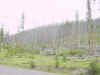 Mon-yelst-gt-20010617-1244b.jpg (76079 bytes)