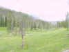 Mon-yelst-gt-20010617-1245a.jpg (59027 bytes)
