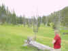 Mon-yelst-gt-20010617-1245b.jpg (57601 bytes)