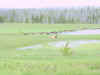 Mon-yelst-gt-20010617-1302b.jpg (52267 bytes)