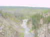 Mon-yelst-gt-20010617-1316b.jpg (72232 bytes)