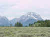 Mon-yelst-gt-20010617-1608a.jpg (48964 bytes)
