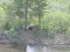 Mon-yelst-gt-20010617-1635d.jpg (89577 bytes)