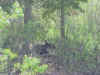 Mon-yelst-gt-20010617-1636a.jpg (93247 bytes)