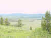 Mon-yelst-gt-20010617-1721.jpg (59189 bytes)