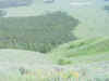 Mon-yelst-gt-20010617-1742a.jpg (80752 bytes)