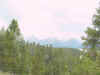 Mon-yelst-gt-20010617-1758a.jpg (59074 bytes)