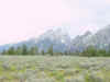 Mon-yelst-gt-20010617-1816c.jpg (56208 bytes)