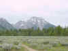 Mon-yelst-gt-20010617-1823c.jpg (52220 bytes)