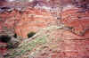 Colorado-20011001-a.jpg (134235 bytes)