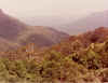 Colorado-a-20011001-d.jpg (79318 bytes)