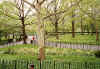 NYC-20011001-f.jpg (156263 bytes)