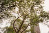 NYC-20011001-h.jpg (162424 bytes)