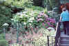 Victoria-20011001-zd.jpg (157303 bytes)