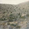 newmwxico-20011001-z5.jpg (52649 bytes)