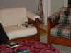 Cats-021222-2.jpg (72217 bytes)