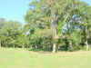 RC-Lot-05.jpg (105892 bytes)