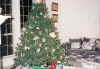 christmas-004.jpg (97455 bytes)