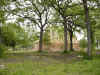 s-DSC00121.jpg (102991 bytes)