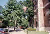 Boston-199207xx-01.jpg (147851 bytes)